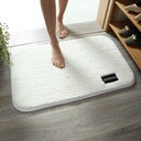 Bathroom Shower Mat