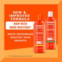 Shea Butter Shampoo & Conditioner