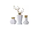 Classic Vase.webp