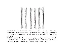 5.webp