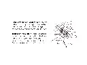 4.webp