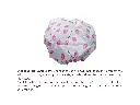 5.webp