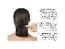 2 12.webp
