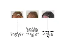 4.webp